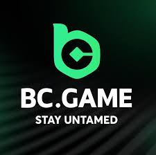 Download the BC.Game App for Ultimate Gaming Experience