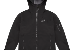 Deputy Department Online: Redefining Public Service withinside the Digital Age